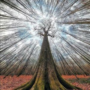 Meet your Posher, Sergio